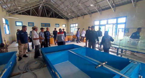 Desa Lopak Alai Bersiap Jadi Sentra Pembibitan Patin